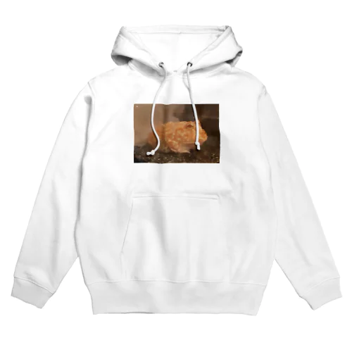 Koma Hoodie