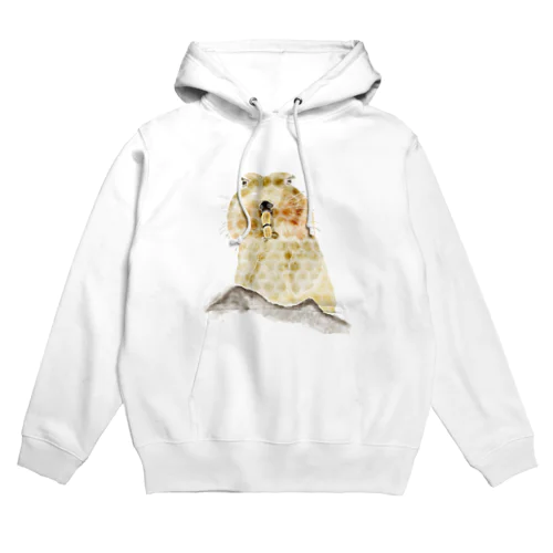 亀甲 × エチオピアオオタケネズミ Hoodie