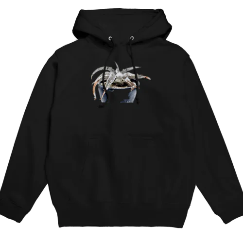 ディッキア　マルニエルラポストレイ Hoodie