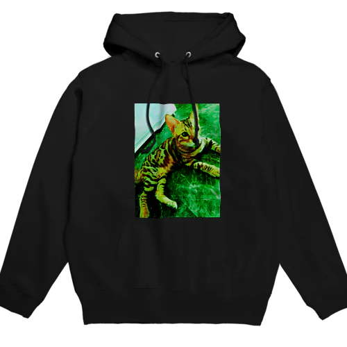 B.C/M.S Hoodie