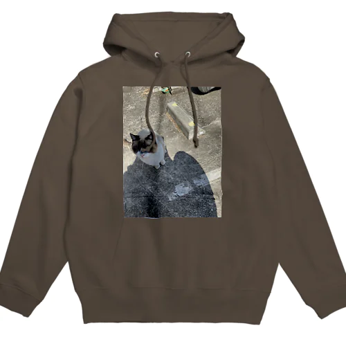 天然キャット Hoodie