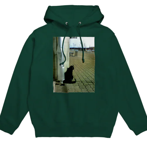 200801231206000　岸壁のクロ Hoodie