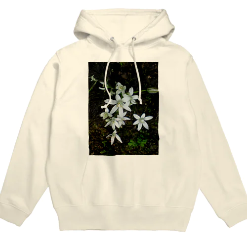 200806290934000　これ何の花 Hoodie