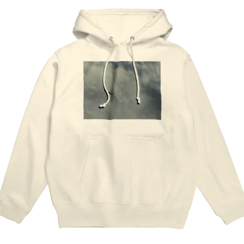 201808221304003　オオセグロカモメ Hoodie