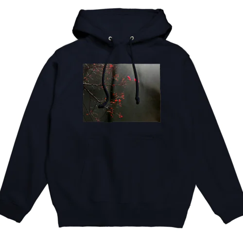 202311061853000　赤い実だけ残った Hoodie