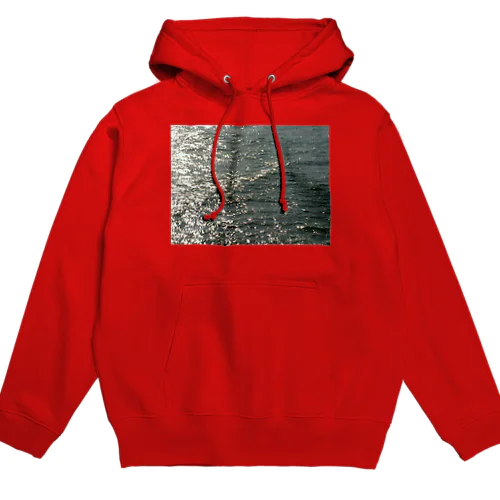 201410241247000 　海面は燻し銀 Hoodie