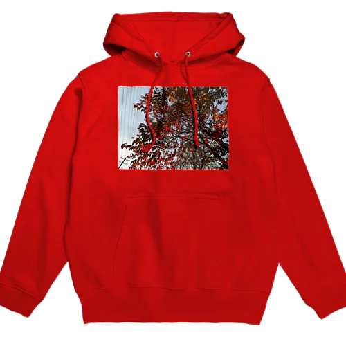 201910181619002　桜の紅葉 Hoodie