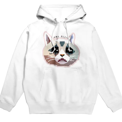 おまえ、きしょい Hoodie