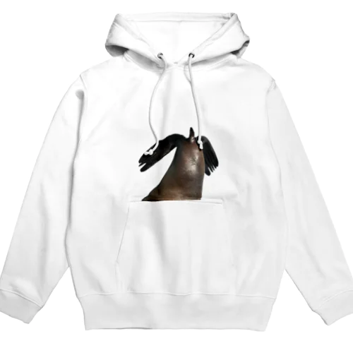 アシカ| 个 | Hoodie