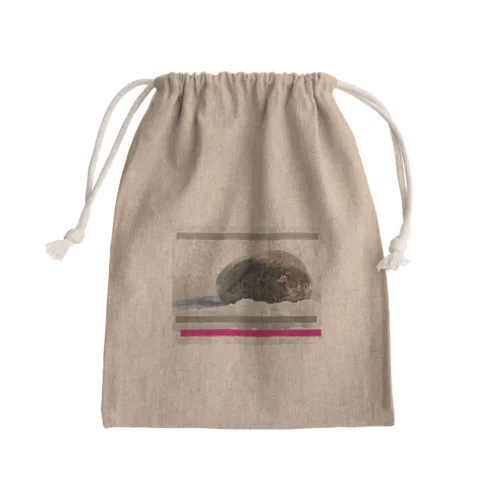【アザラシ】北の岬にやって来る Mini Drawstring Bag