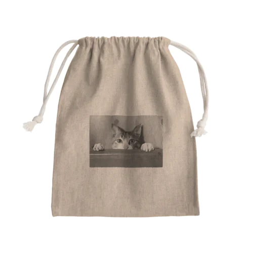 三毛猫のひめ　5 Mini Drawstring Bag