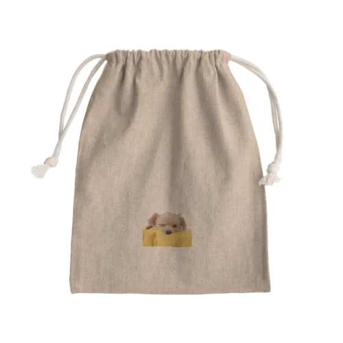 ウインク Mini Drawstring Bag