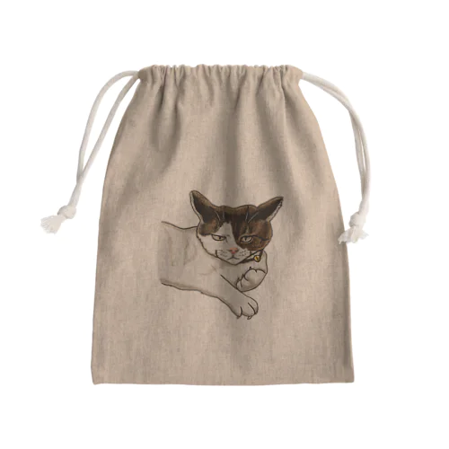 猫相の悪い猫がこちらをみている Mini Drawstring Bag