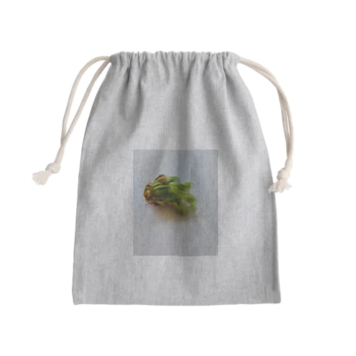 サバイバー多肉 Mini Drawstring Bag