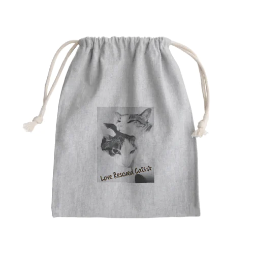 Love Rescued Cats Mini Drawstring Bag