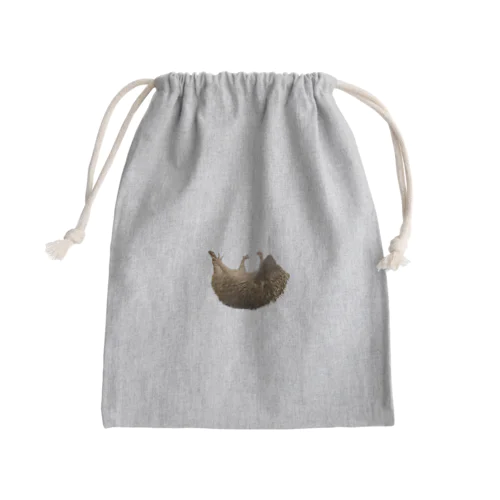 ヒメハリテンレックのぷぅちゃん Mini Drawstring Bag