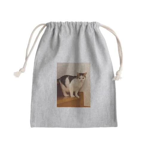 慎之助くん Mini Drawstring Bag