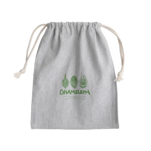 the chameleon Mini Drawstring Bag