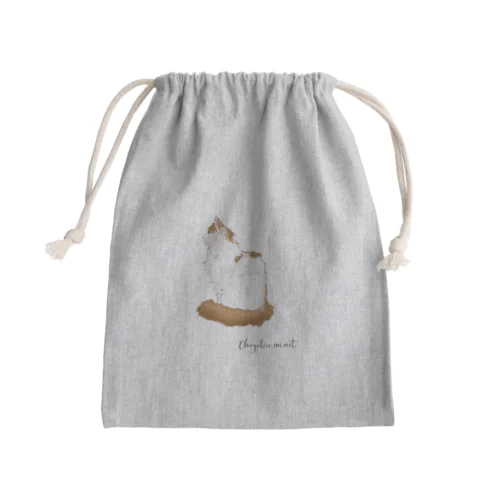 太鳳ちゃん_2 Mini Drawstring Bag