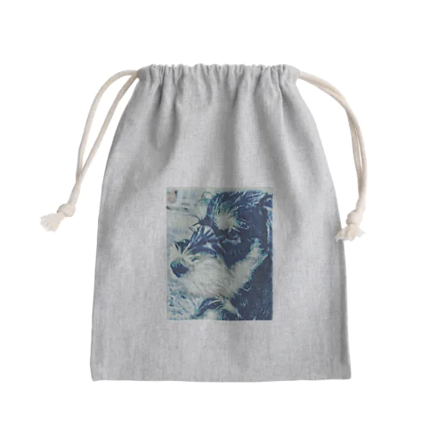 ミニシュナ　E Mini Drawstring Bag