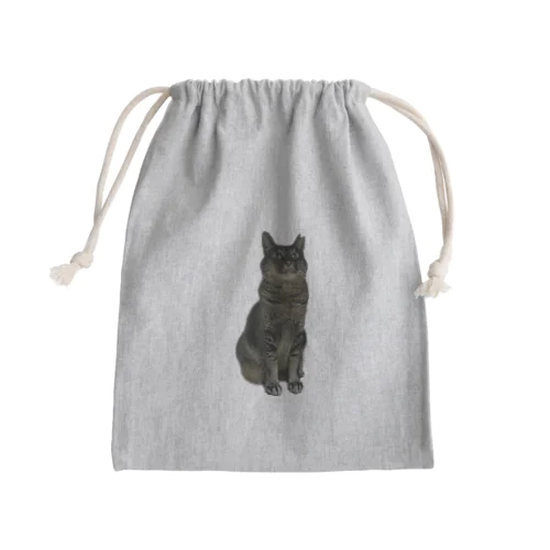 びっくり猫シリーズ Mini Drawstring Bag