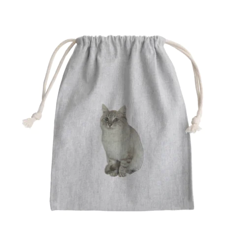 元野良猫しらたま Mini Drawstring Bag
