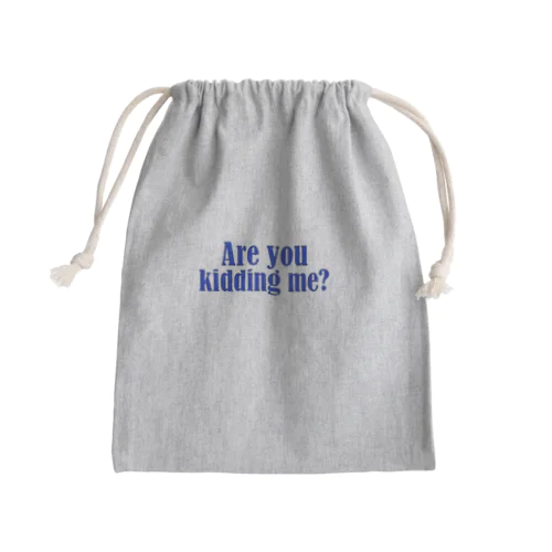 Are you kidding me? Mini Drawstring Bag