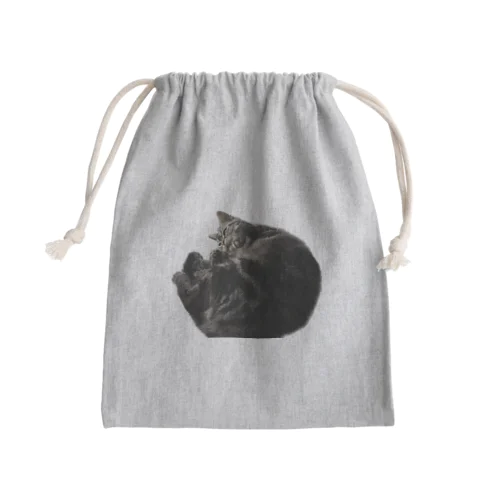 アメショーのひめちゃん① Mini Drawstring Bag