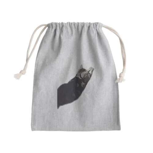 アメショーのひめちゃん③ Mini Drawstring Bag