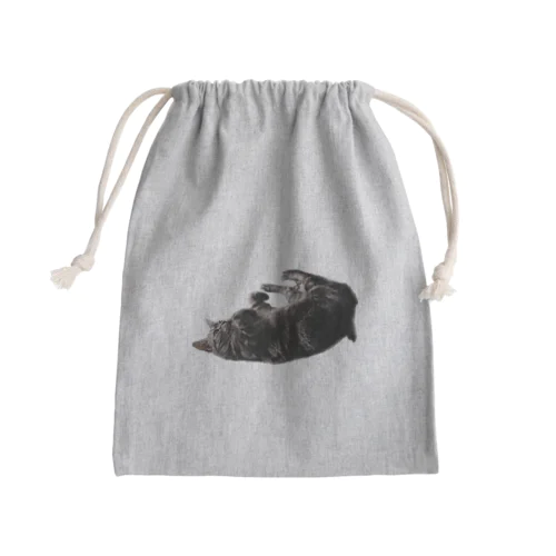 アメショーのひめちゃん⑥ Mini Drawstring Bag