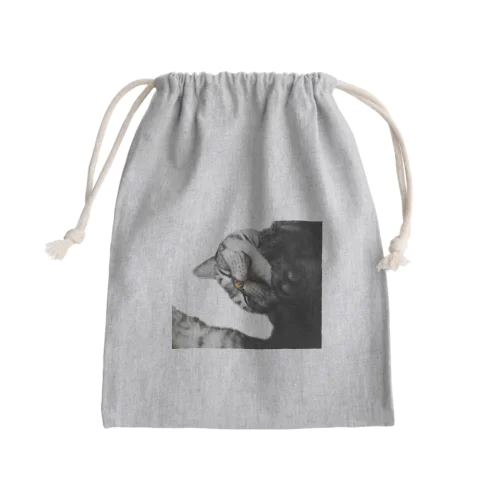 アメショーのひめちゃん⑦ Mini Drawstring Bag