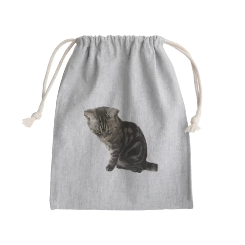 アメショーのひめちゃん⑦ Mini Drawstring Bag