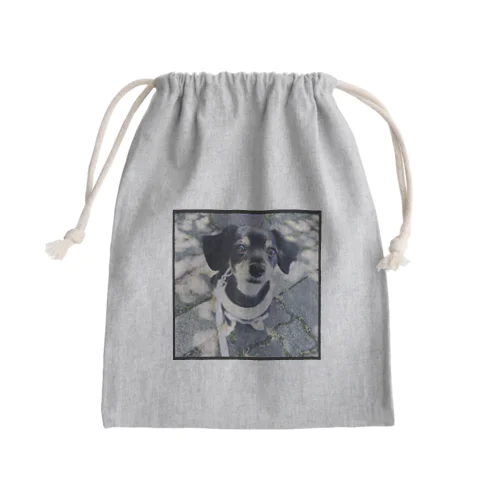 summer Photo  Mini Drawstring Bag