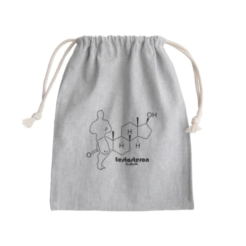 化学Tシャツ：テストステロン：Testosterone：筋肉：筋トレ：健康：化学構造・分子式：科学：学問：理系 きんちゃく