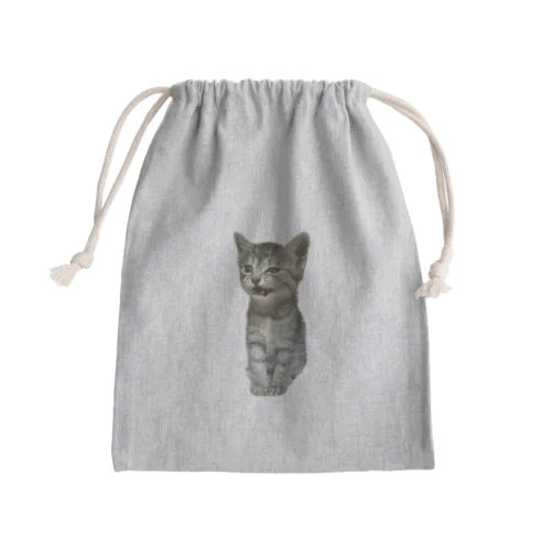 ウチのねこ　(すずちゃん) Mini Drawstring Bag