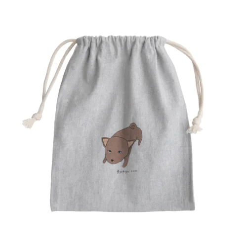 琉球犬　赤犬 Mini Drawstring Bag