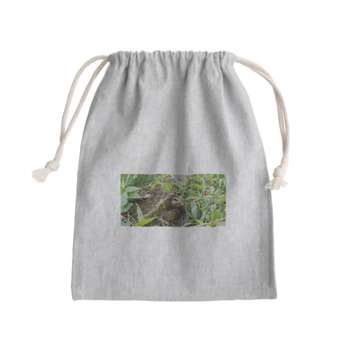 自然豊か Mini Drawstring Bag