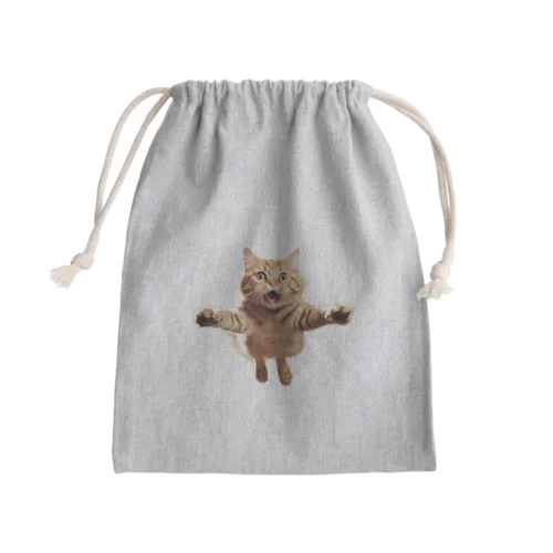 飛び付きそうな猫 Mini Drawstring Bag