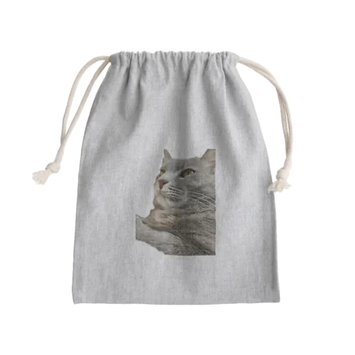 緊張ロッタン Mini Drawstring Bag