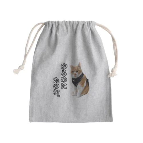 元野良猫チャチャ Mini Drawstring Bag