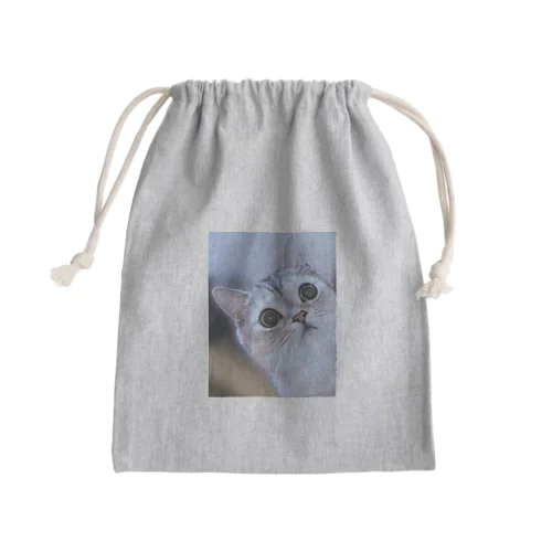 猫の名前はレオ Mini Drawstring Bag