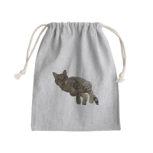 キジトラ猫の直太朗2 Mini Drawstring Bag