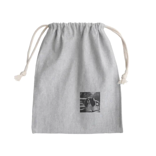 サングラスのBarry Mini Drawstring Bag