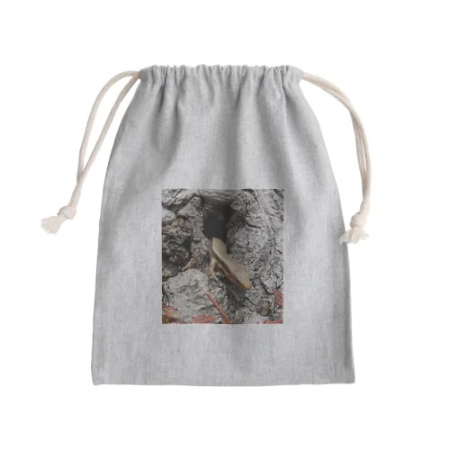 カナヘビの目覚め Mini Drawstring Bag