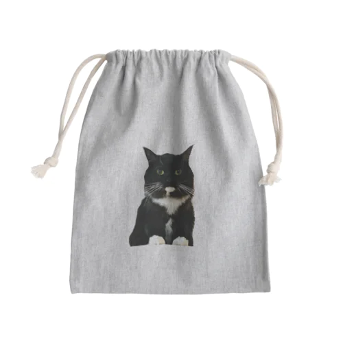 真面目ねこスイ〜証明写真風〜 Mini Drawstring Bag