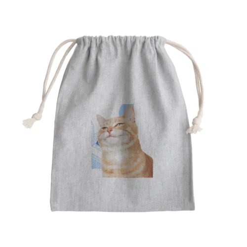 猫なのだ Mini Drawstring Bag