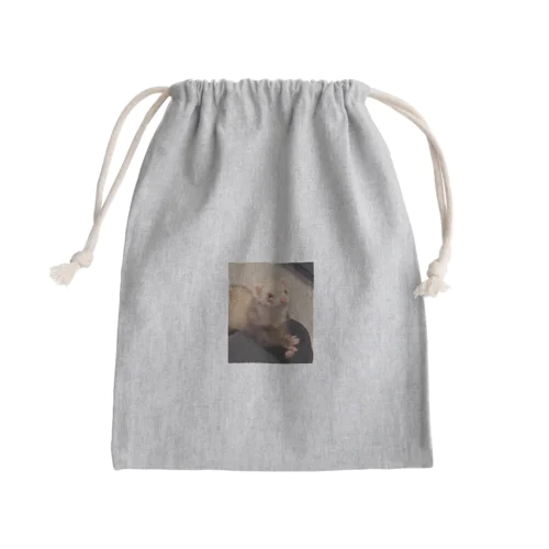 キョトンなフェレット Mini Drawstring Bag