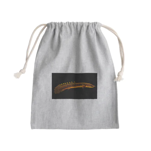 ポリプテルス グッズ Mini Drawstring Bag