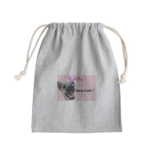 How Cute! Canvas! Mini Drawstring Bag