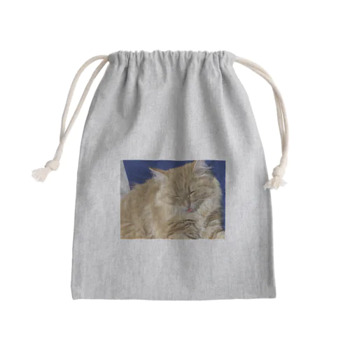 テオ君 Mini Drawstring Bag